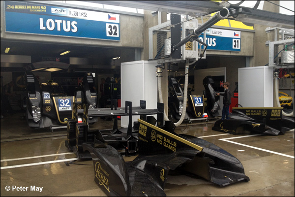 Lotus Wednesday