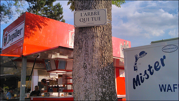 L’arbre Qui Tue