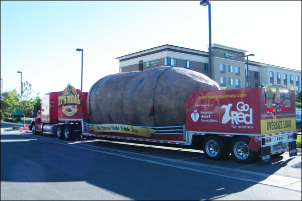 Giant-Potato