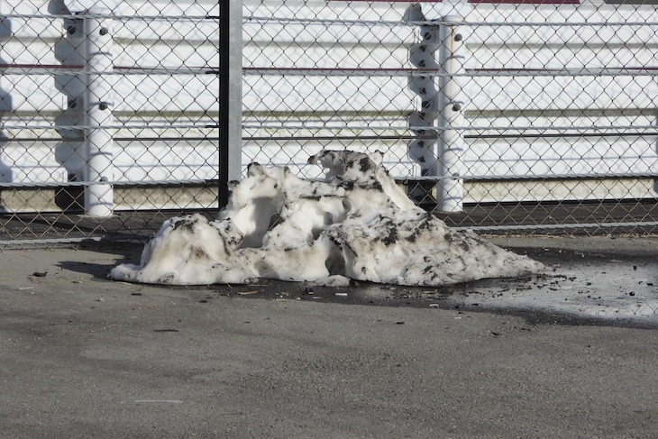 snow-fuji-paddock