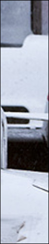 quiz_what_5