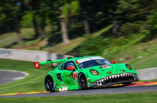 Dinosaur Livery For AO Racing